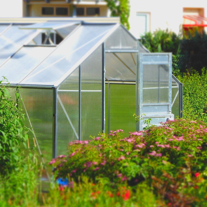 Blick auf ein Gewächshaus in einem Garten