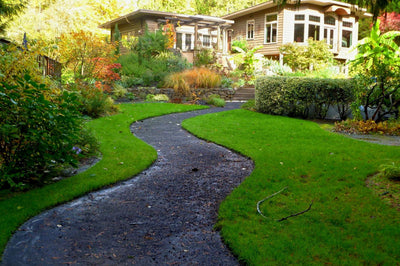 Blick auf ein Haus mit Garten