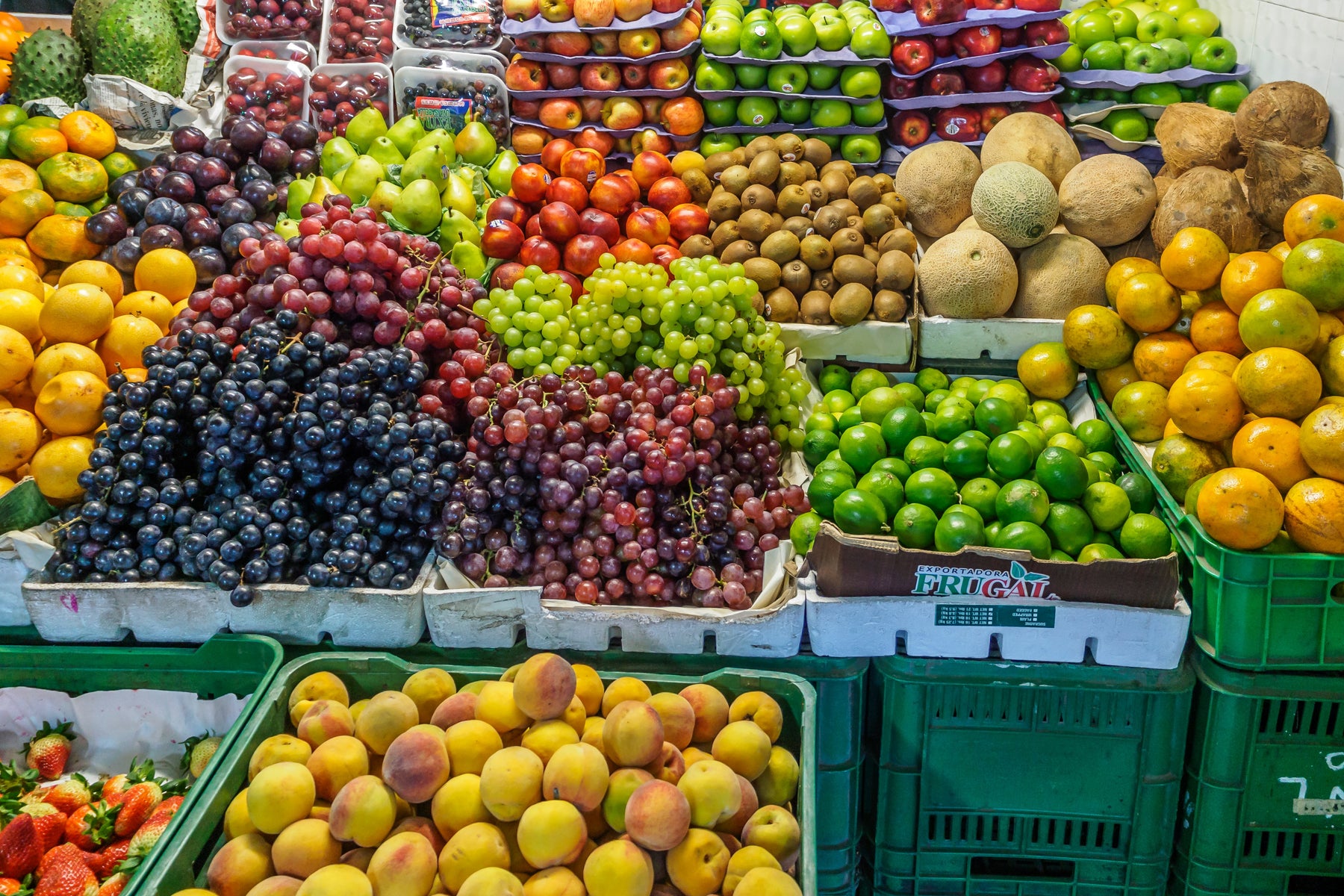 Fruchtfliegen loswerden – Hausmittel, die funktionieren