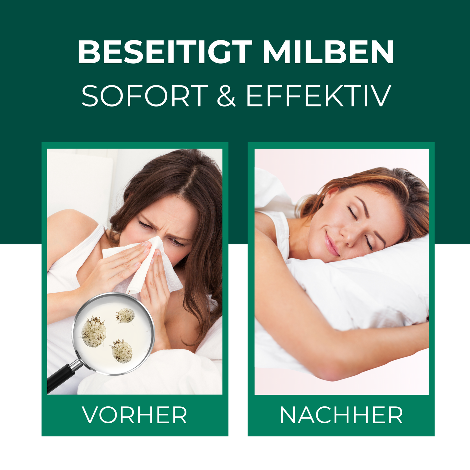 Milbenspray Sofa & Textil - Silberkraft