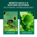 SF Nematoden gegen Erdflöhe - Silberkraft