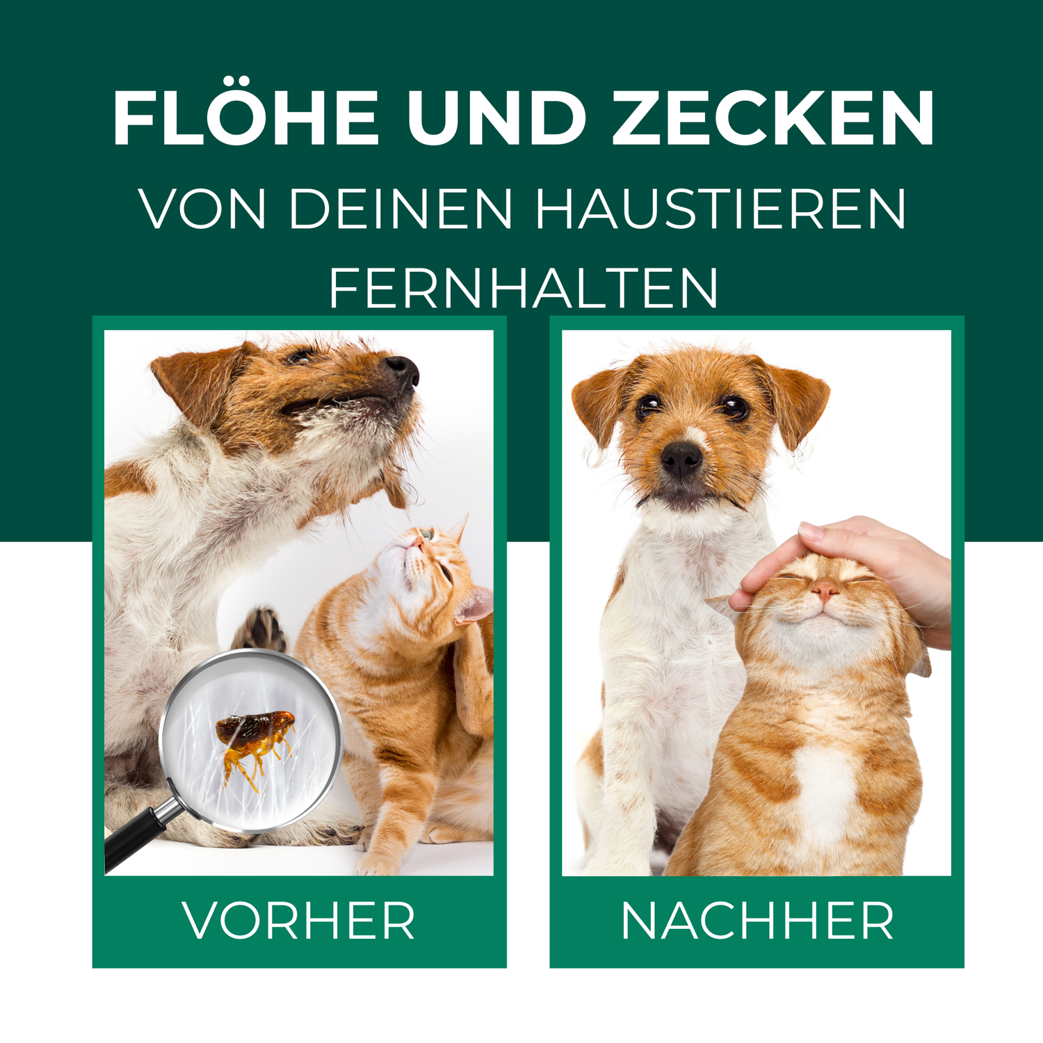Floh- & Zeckenspray für Hunde und Katzen - Silberkraft
