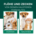 Floh- & Zeckenspray für Hunde und Katzen - Silberkraft
