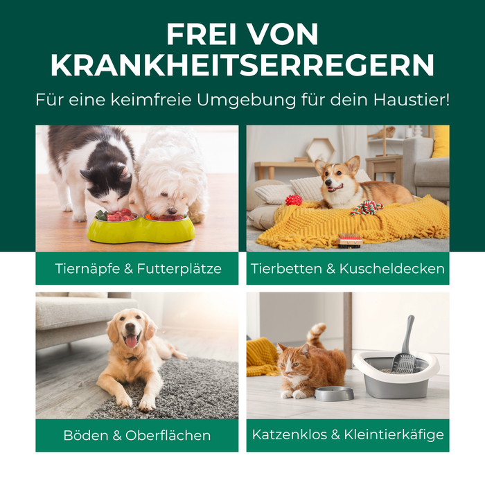 Giardienspray gegen Giardien, Bakterien, Viren & Pilze inkl. kostenloses eBook - Silberkraft
