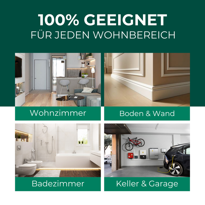 Silberfisch Spray 500ml inkl. E-Book - Silberkraft
