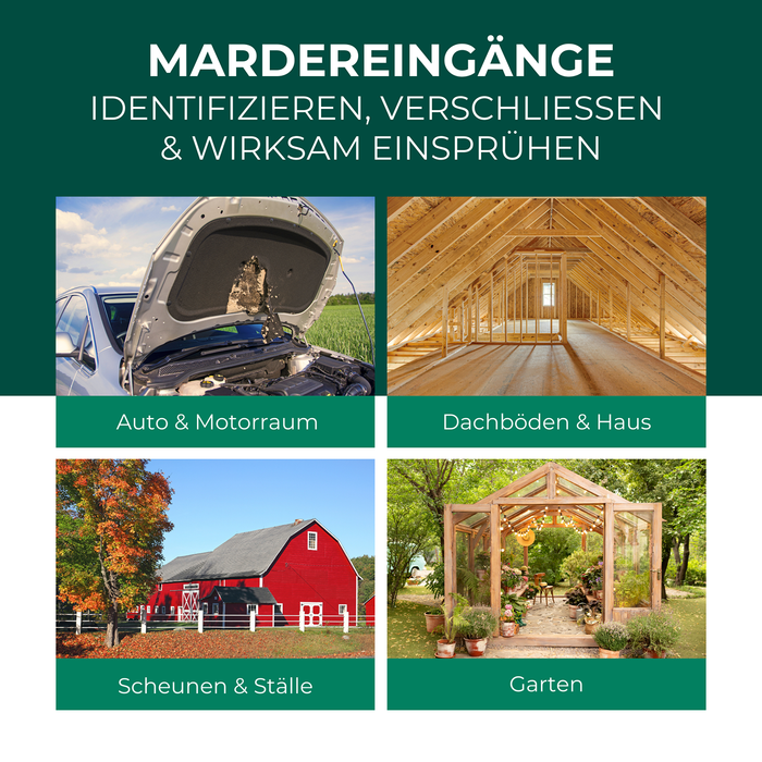 Anwendungmöglichkeiten des Silberkraft Marder Stopp Sprays. Dargestellt sind der Motorraum eines Autos, ein Dachboden, ein Stall und der Garten, um die verschiedenen Anwendungen darzustellen. 
