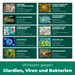 Giardienspray gegen Giardien, Bakterien, Viren & Pilze inkl. kostenloses eBook - Silberkraft