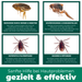 Kolloidales Silberspray 100 ml - Spray zur Wundheilung - Hautpflege bei Ungezieferbefall, Juckreiz, Infektionen, Entzündungen - für Hunde, Katzen, Nagetiere und andere Haustiere - Silberkraft