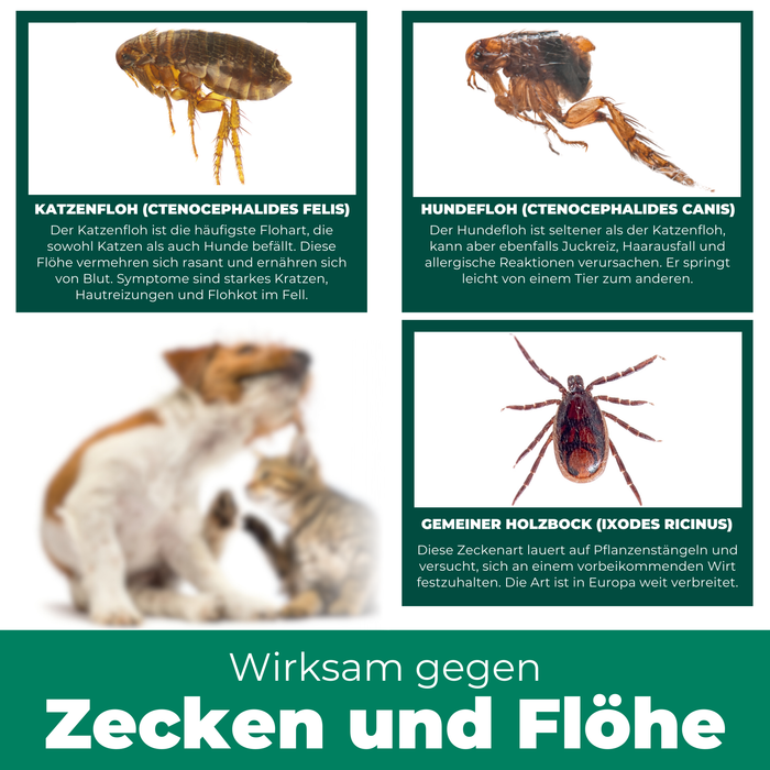 Floh- & Zeckenspray für Hunde und Katzen - Silberkraft