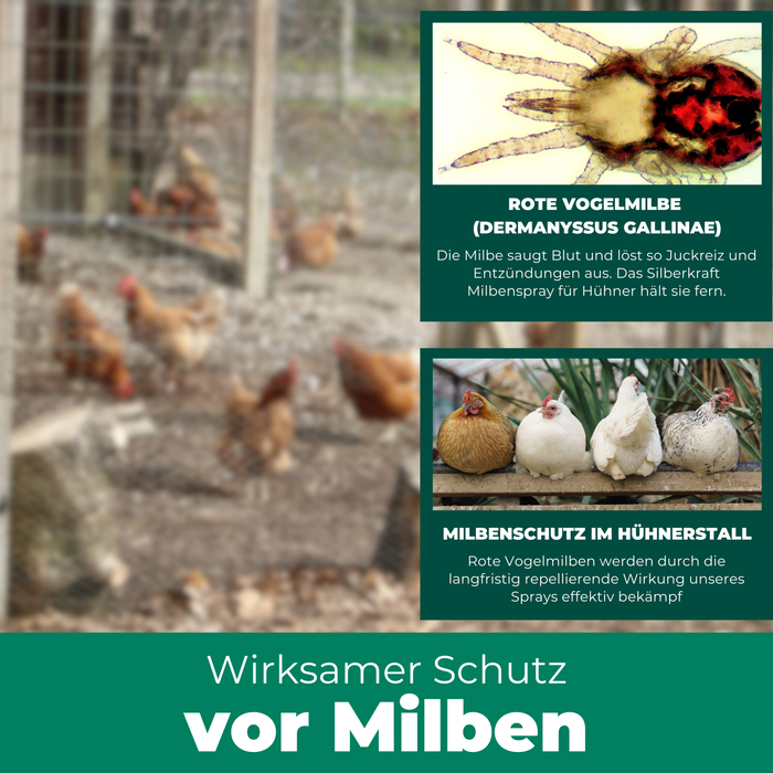 Milbenspray Hühner - Silberkraft