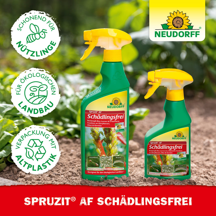 Neudorff Spruzit AF Schädlingsfrei gegen Blattläuse, Thripse, Buchsbaumzünsler - Silberkraft