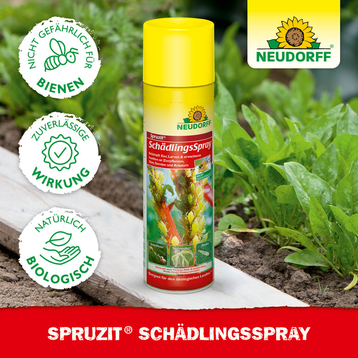 Neudorff Spruzit SchädlingsSpray gegen Läuse, Thripse, Weiße Fliegen, Spinnmilben, Zikaden, Raupen und Käfer – Bild 5