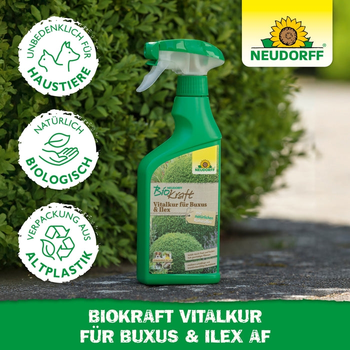 Neudorff BioKraft Vitalkur für Buxus & Ilex - Silberkraft