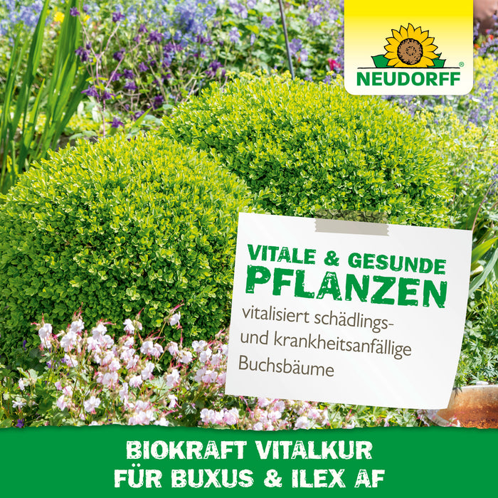 Neudorff BioKraft Vitalkur für Buxus & Ilex - Silberkraft