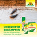 Neudorff Permanent FliegenFalle - Silberkraft
