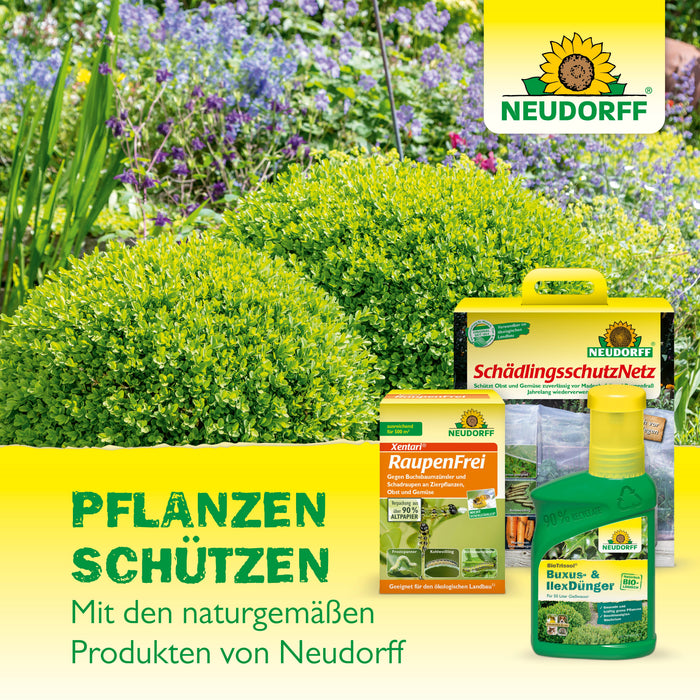 Neudorff Neudomon BuchsbaumzünslerFalle - Silberkraft