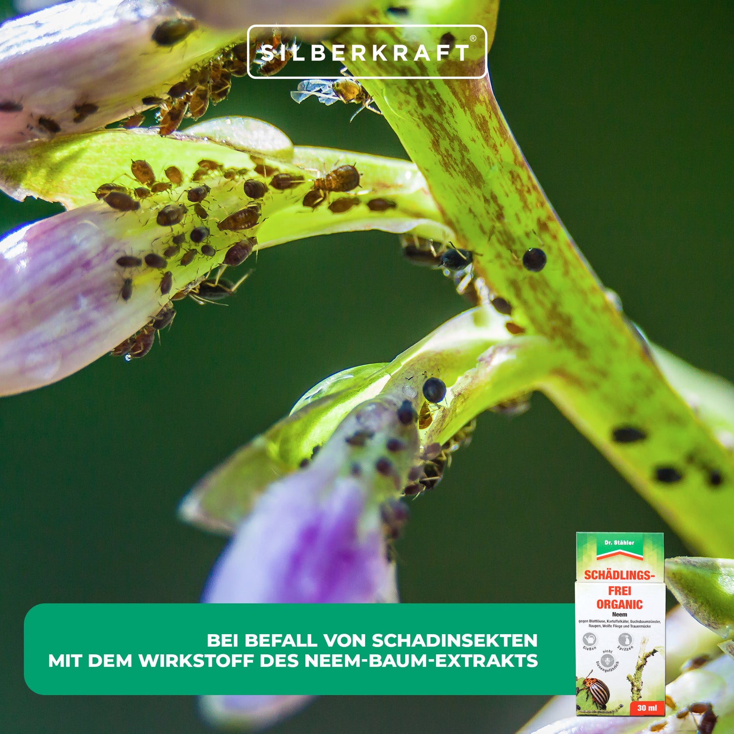 Schädlingsfrei-Organic mit Neem-Baum-Extrakt: Schutz vor Schädlingen - Silberkraft
