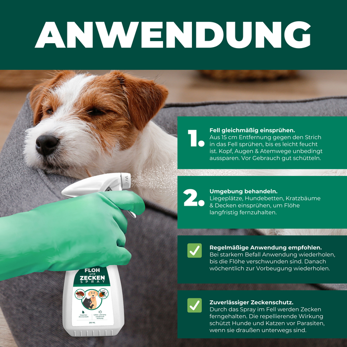 Floh- & Zeckenspray für Hunde und Katzen - Silberkraft