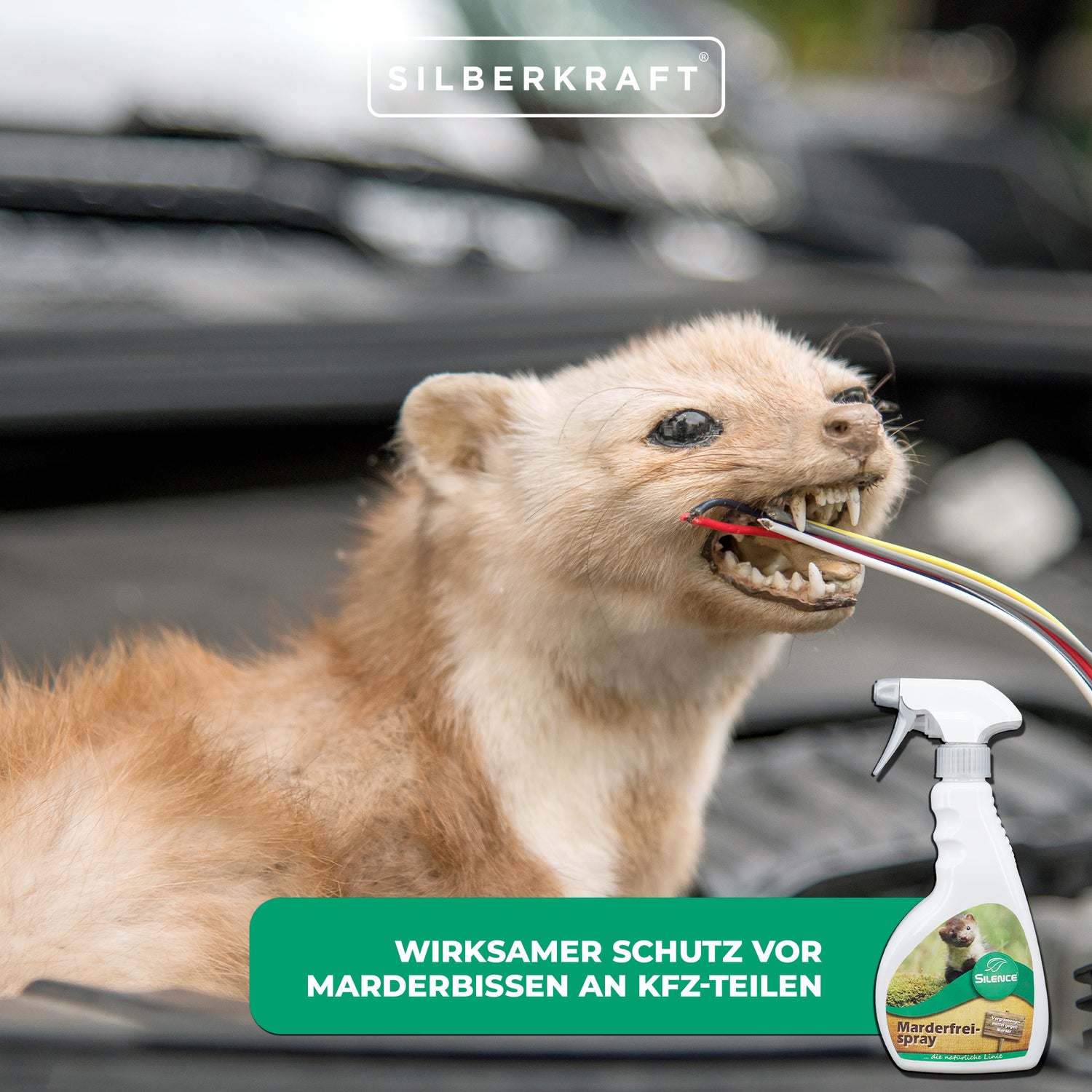 Silence Marder-Frei Spray: Wirksamer Schutz vor Marderbisse - Silberkraft