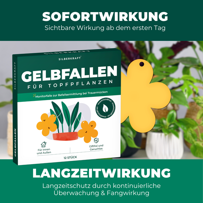 Gelbfalle Gelbtafeln Gelbsticker 12 Stück gegen Fruchtfliegen, Trauermücken, uvm. - Silberkraft