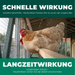 Raubmilben gegen Rote Vogelmilben - Silberkraft