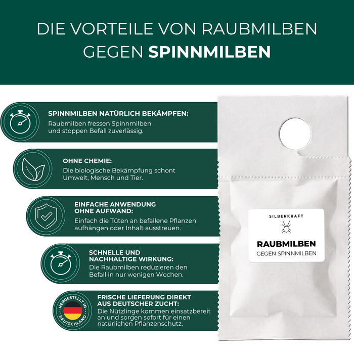 Vorteile der Silberkraft Raubmilben gegen Spinnmilben im Überblick