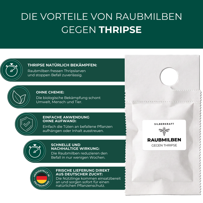 Vorteile der Silberkraft Raubmilben gegen Thripse: chemiefrei, einfach anzuwenden, aus deutscher Zucht