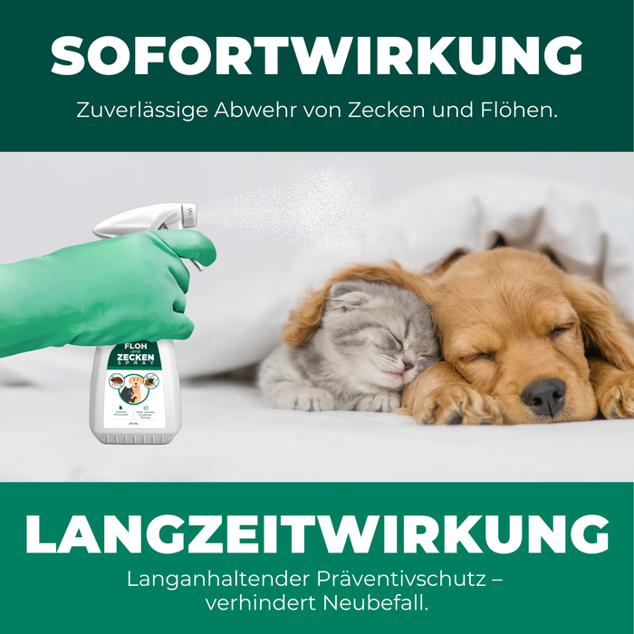 Floh- & Zeckenspray für Hunde und Katzen - Silberkraft