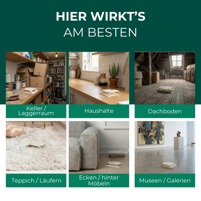Wollkrautblütenkäferfalle mit Spezial-Lockstoff - Silberkraft