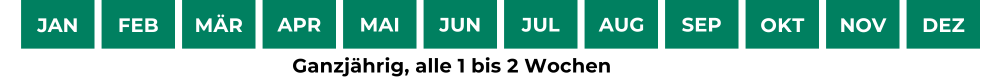 Anwendungszeitraum Bild