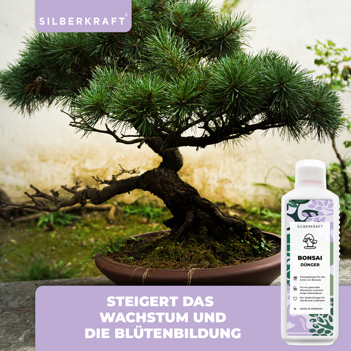 Bonsaidünger - Mineralischer NPK Flüssigdünger mit Stickstoff - Dünger für Bonsai - Bonsai Ficus Dünger - Silberkraft