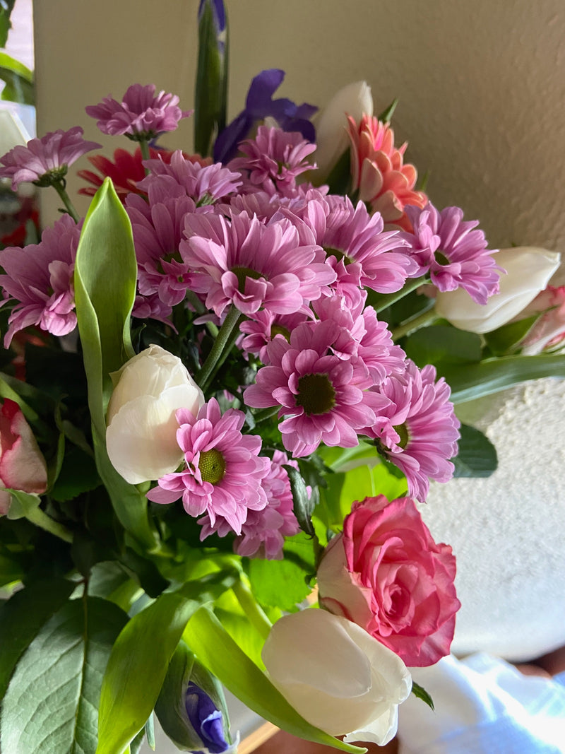 Garten-Chrysantheme — Bild 1