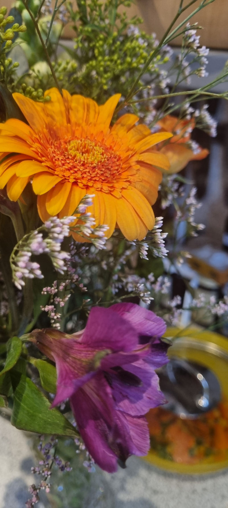 Gerbera — Bild 5