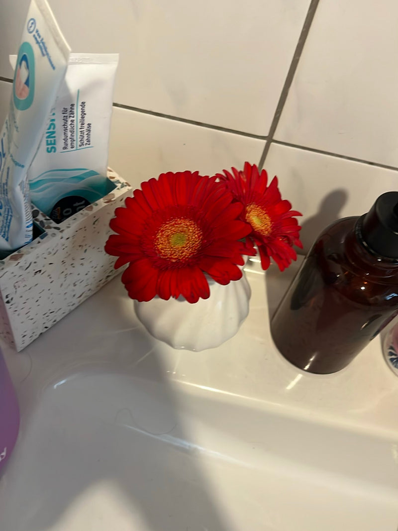 Gerbera — Bild 5