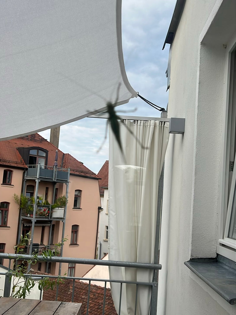 Auf dem Bild ist eine unscharfe Silhouette eines Grünen Heupferds zu sehen, das unter einem hellen Sonnensegel auf einem Balkon sitzt. Im Hintergrund sind st...