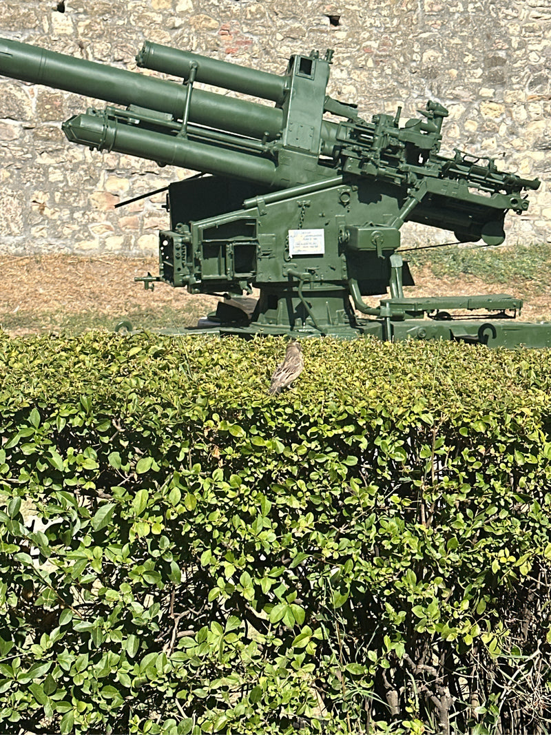 Ein kleiner Vogel sitzt auf einer grünen Hecke. Im Hintergrund ist eine Militärkanone zu sehen.