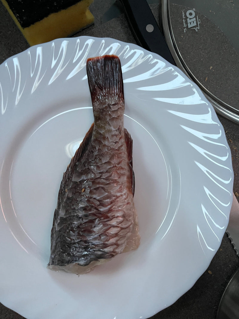 Gemeine Karpfen — Bild 3
