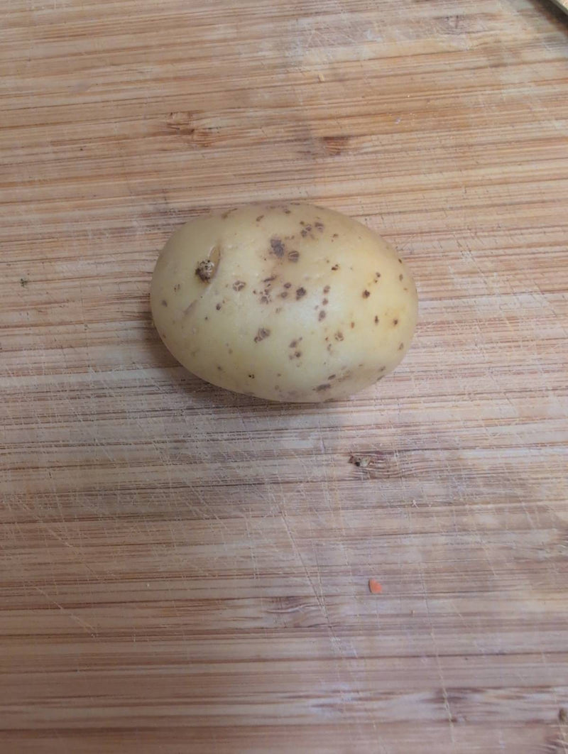 Kartoffel — Bild 4