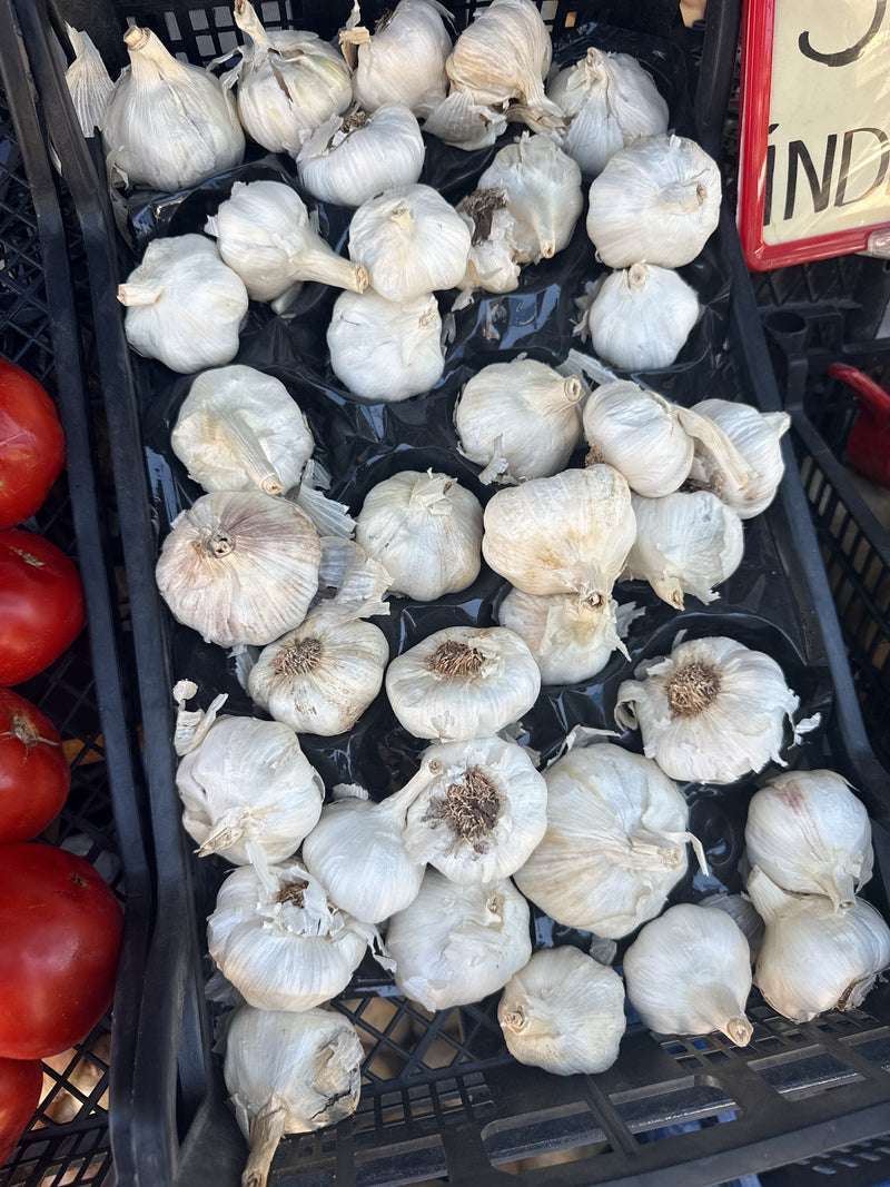 Knoblauch — Bild 5