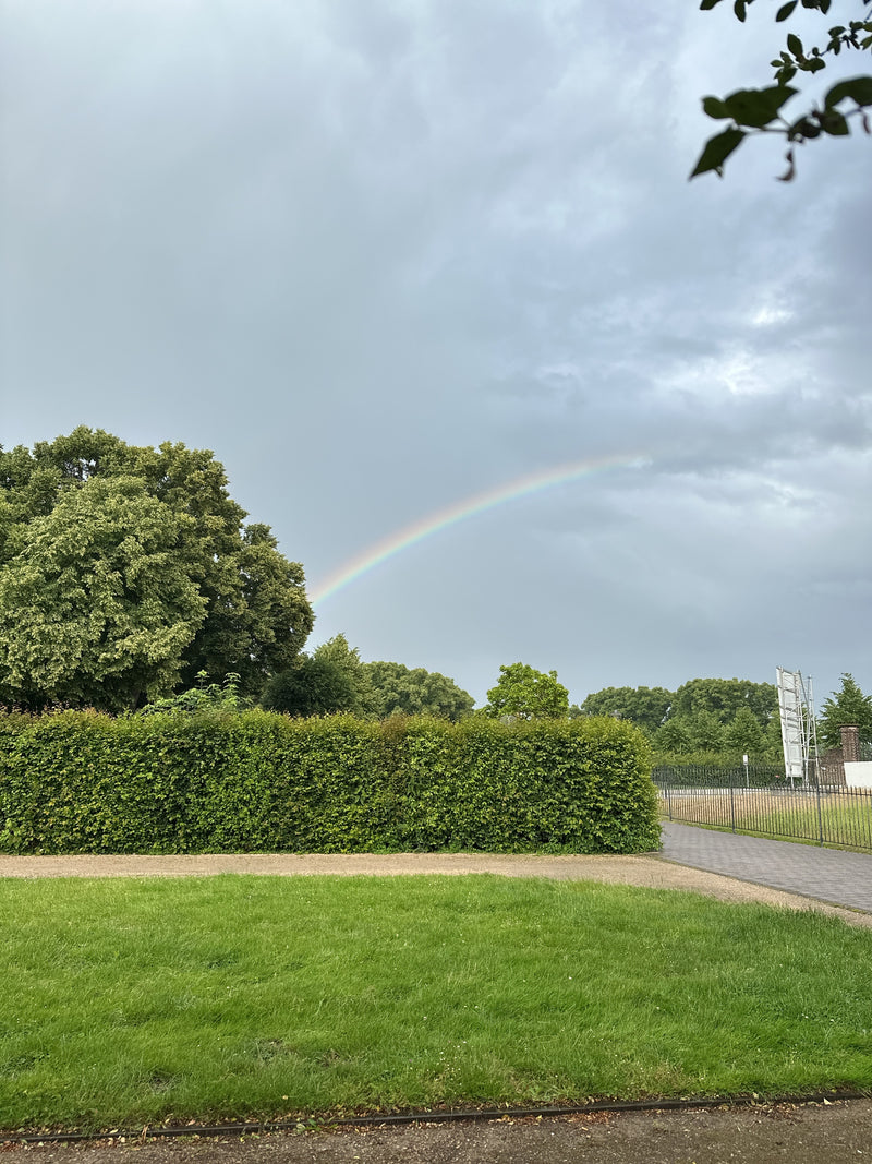 Linde — Bild 3