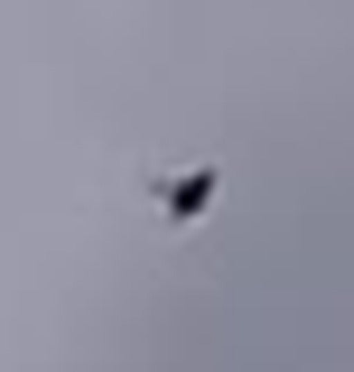 Mäusebussard — Bild 5