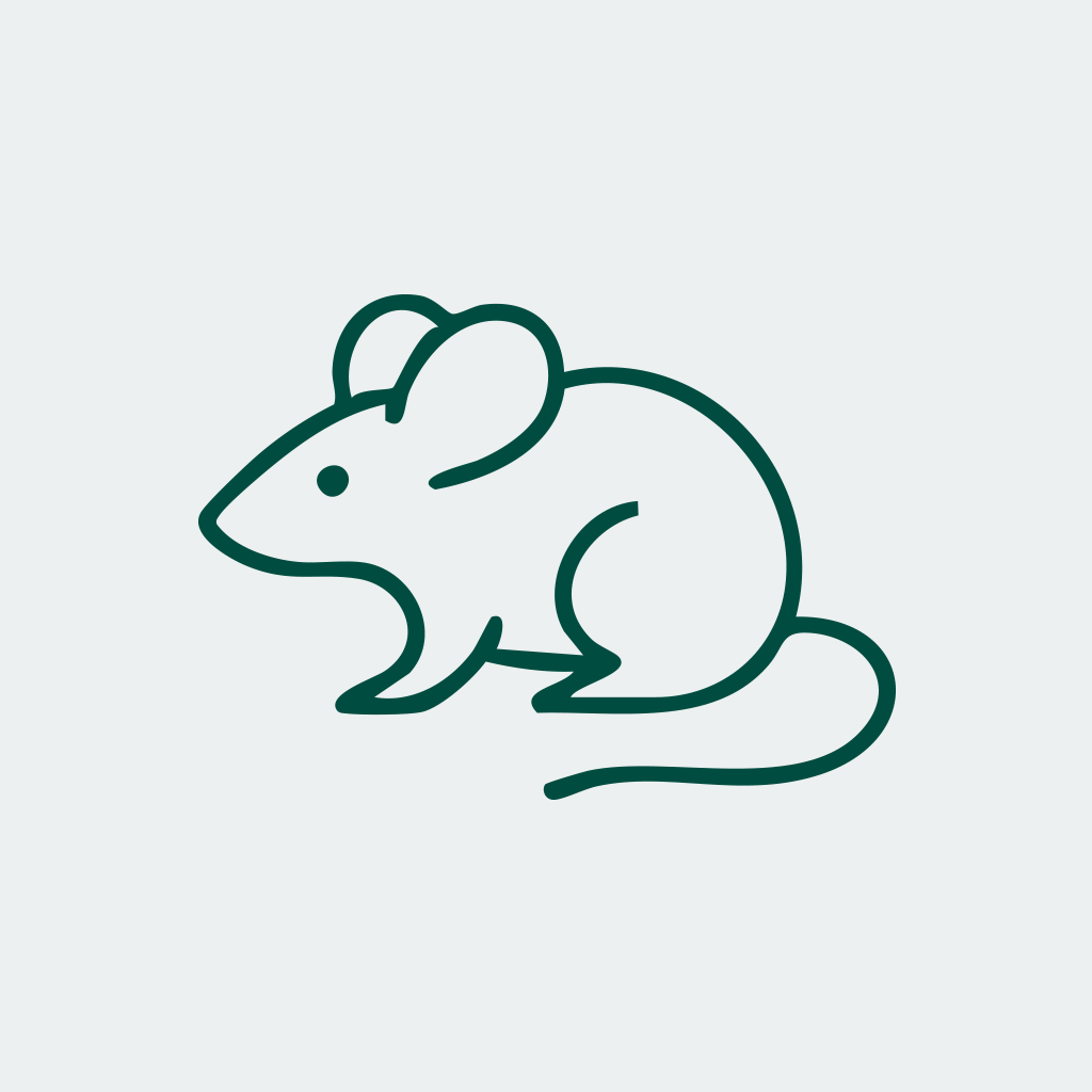 Mäuse & Ratten
