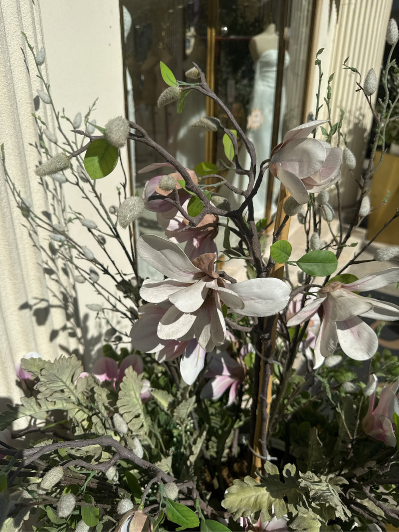 Auf dem Bild sind mehrere helle Magnolienblüten und Knospen an verzweigten Zweigen zu sehen. Im Hintergrund ist eine helle Wand erkennbar.