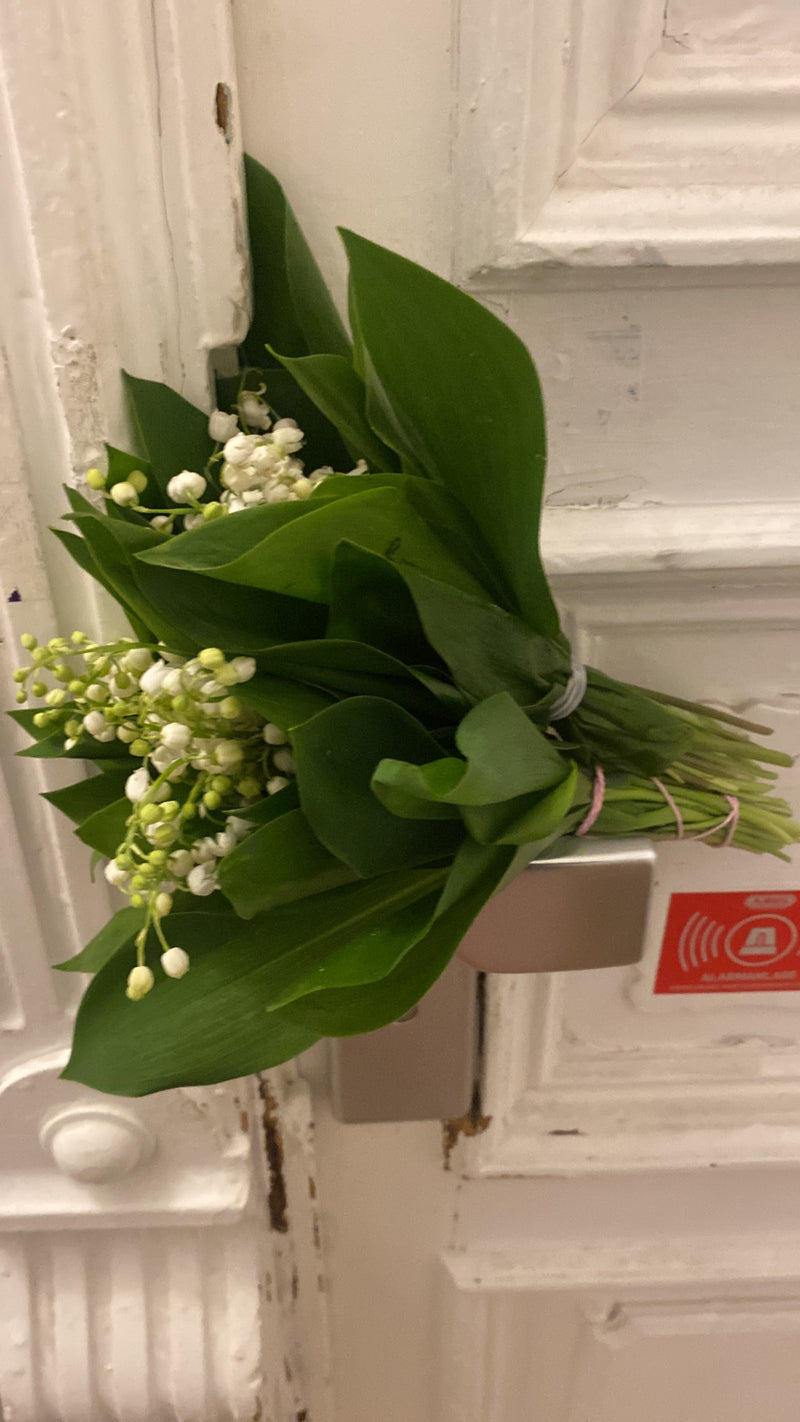 Maigloeckchen — Bild 1