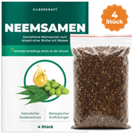 Neemsamen - 4 Stück