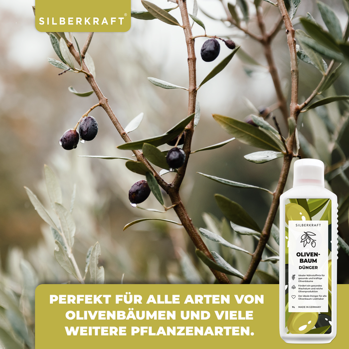 Olivenbaumdünger - Mineralischer NPK Flüssigdünger mit Stickstoff - Dünger für Olivenbäume - Oliven Dünger - Silberkraft