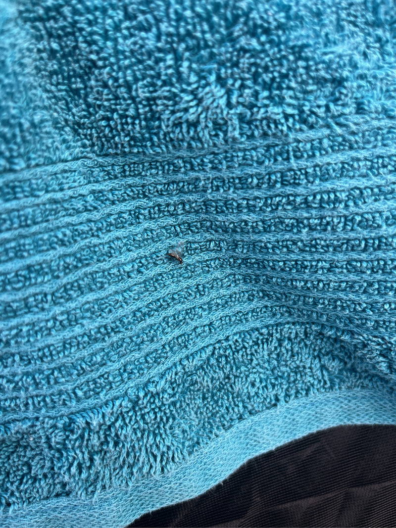 Auf einem blauen Handtuch sitzt eine adulte Platanen-Netzwanze. Das kleine Insektenexemplar ist gut zu erkennen.