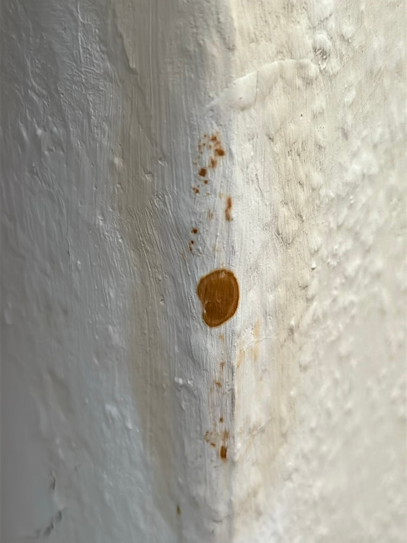 Gießkannenschimmel — Bild 3