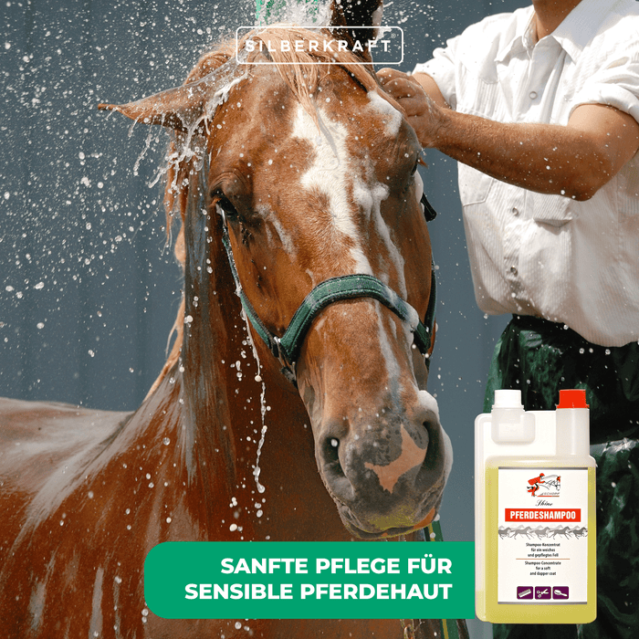Sensitiv Shampoo für Pferde und Fohlen - Silberkraft