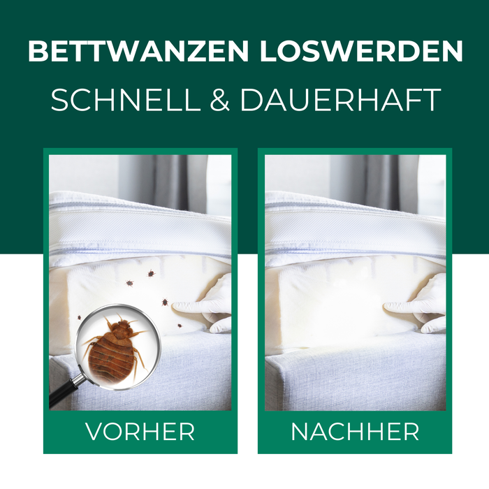 Anti Bettwanzen Spray - Bettwanzenspray - Silberkraft